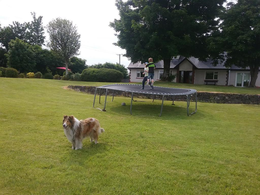 Rocksberry Bed & Breakfast Castlebar Exteriör bild