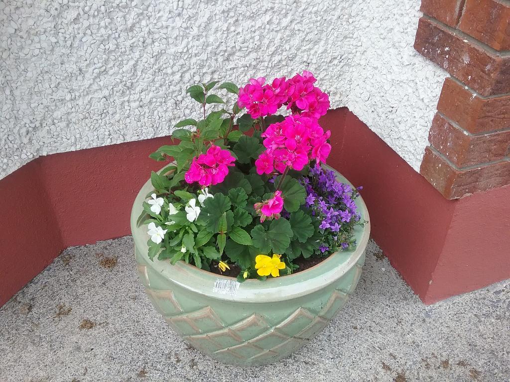 Rocksberry Bed & Breakfast Castlebar Exteriör bild